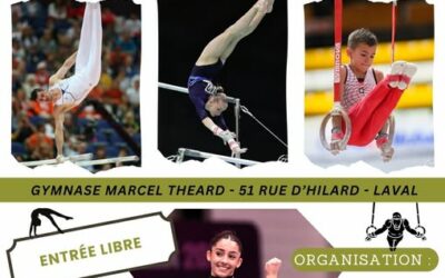 Finale départementale individuels