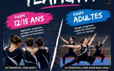 TeamGym